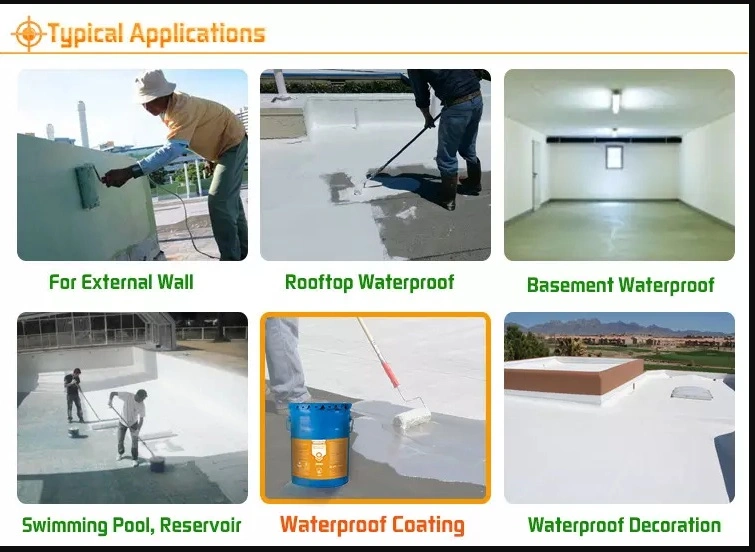 Manufacturer of Elastomeric Waterproof Ms Coating Products